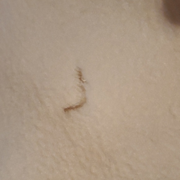 Vintage Satin Trimmed Binding Cream with Soft Floral Colored 74" x 82" Blanket - Picture 6 of 7